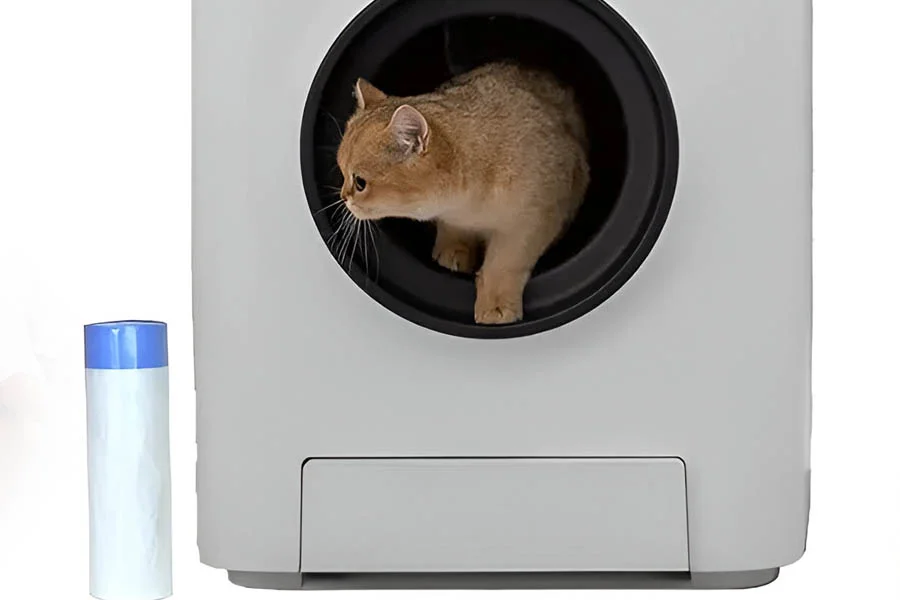 no smell cat box